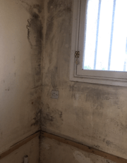 JMK Property Maintenance Before Photo